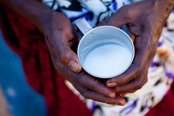 Camel milk