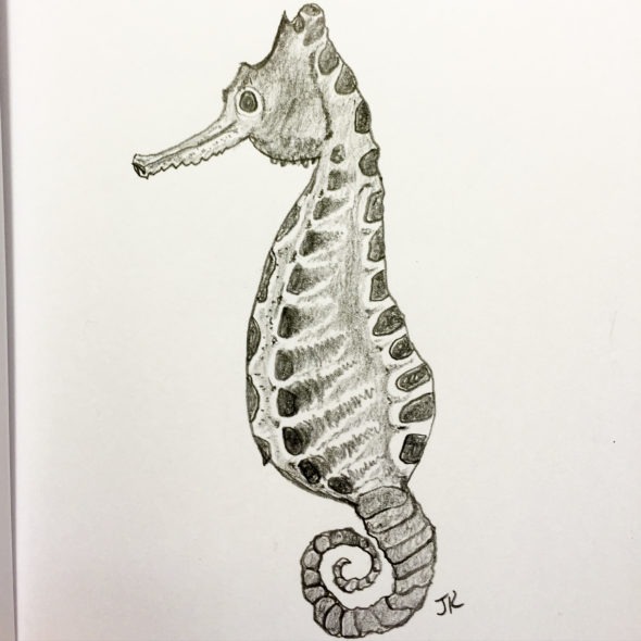 Spotted Seahorse in pencil