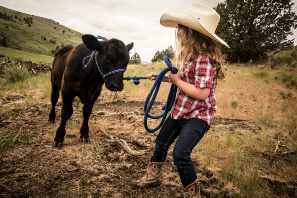 Painted Hills Natural Beef