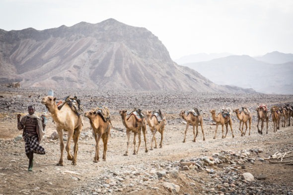 Images from the Afar region of Ethiopia